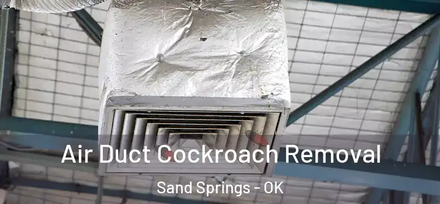  Air Duct Cockroach Removal Sand Springs - OK