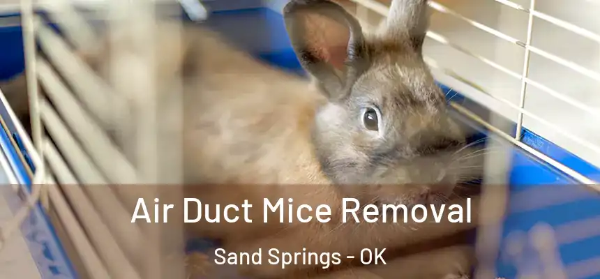  Air Duct Mice Removal Sand Springs - OK