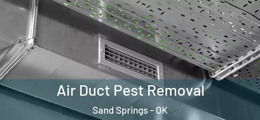 Air Duct Pest Removal Sand Springs - OK