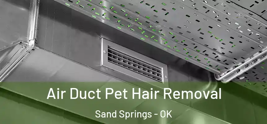  Air Duct Pet Hair Removal Sand Springs - OK