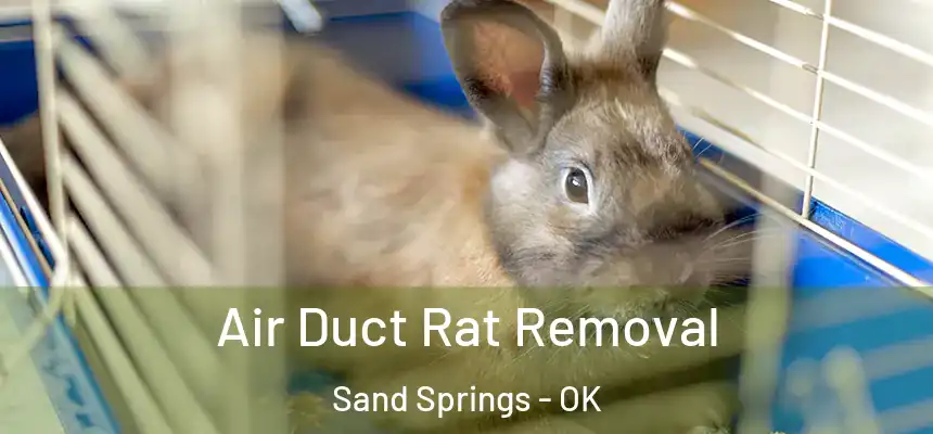  Air Duct Rat Removal Sand Springs - OK
