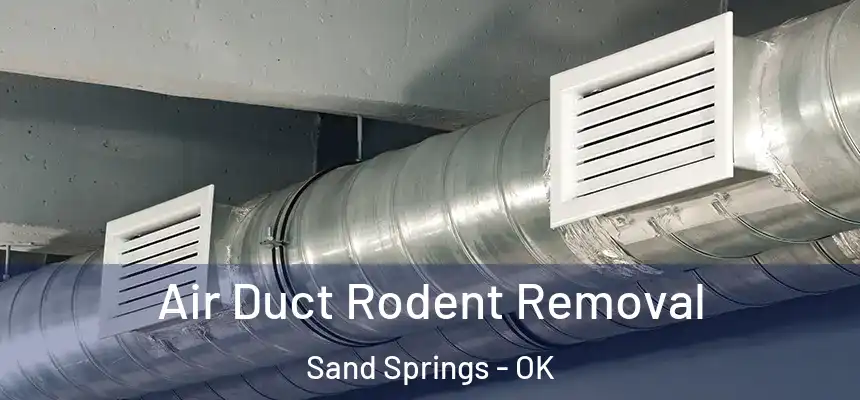  Air Duct Rodent Removal Sand Springs - OK