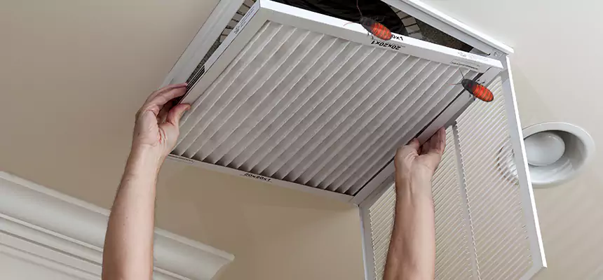 Preventive Cockroach-Proofing for Ducts in Sand Springs