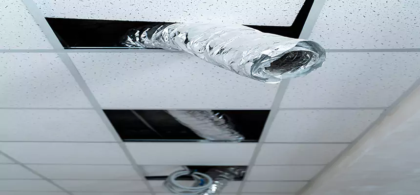 Our Air Duct Pet Hair Removal Services in Sand Springs, OK