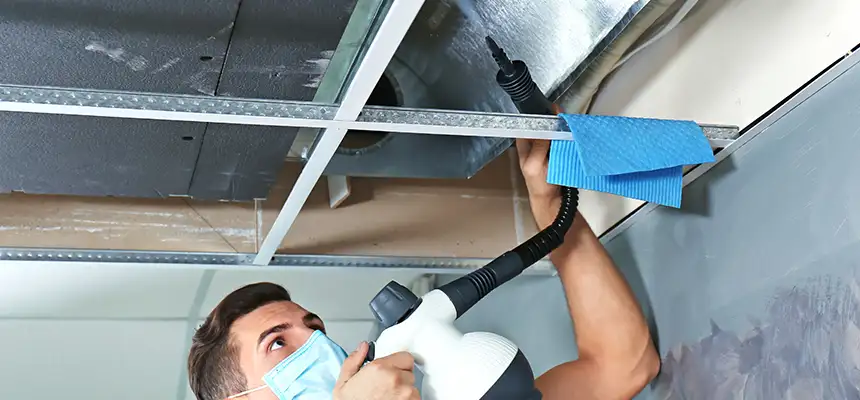 Our Air Duct Rodent Removal Services in Sand Springs, OK