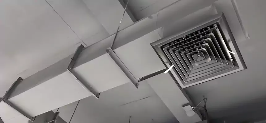 Our Pest Removal From Ducts Services in Sand Springs, OK