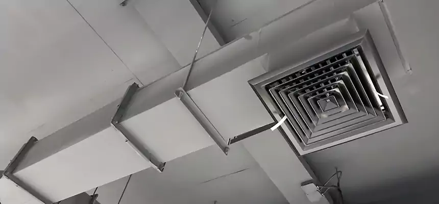 Our Rodent Droppings In Vents Services in Sand Springs, OK