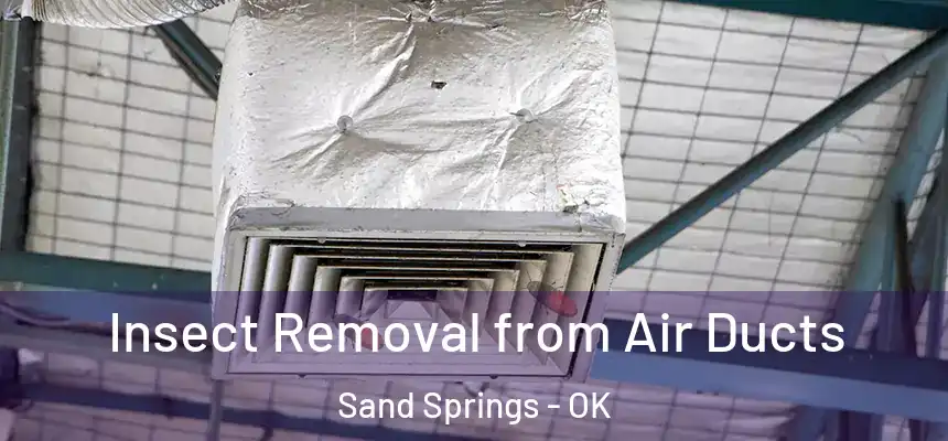  Insect Removal from Air Ducts Sand Springs - OK