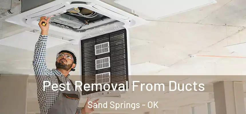  Pest Removal From Ducts Sand Springs - OK