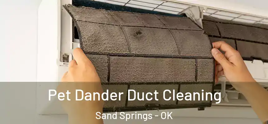  Pet Dander Duct Cleaning Sand Springs - OK
