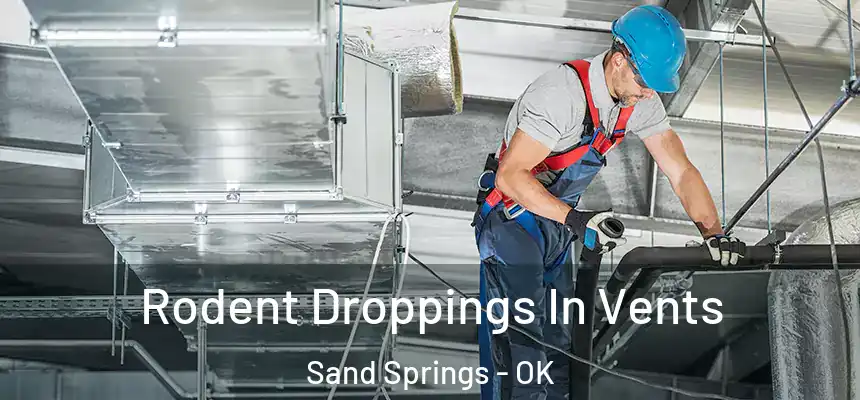  Rodent Droppings In Vents Sand Springs - OK