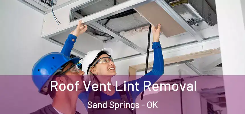  Roof Vent Lint Removal Sand Springs - OK