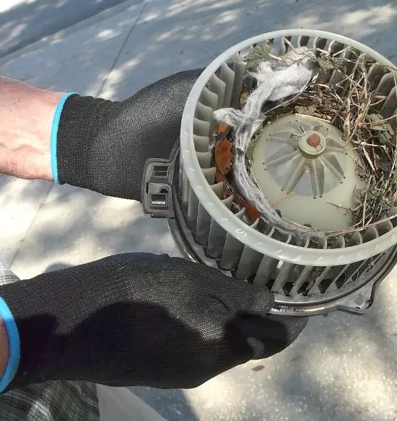 About Air Duct Mice Removal in Sand Springs, OK