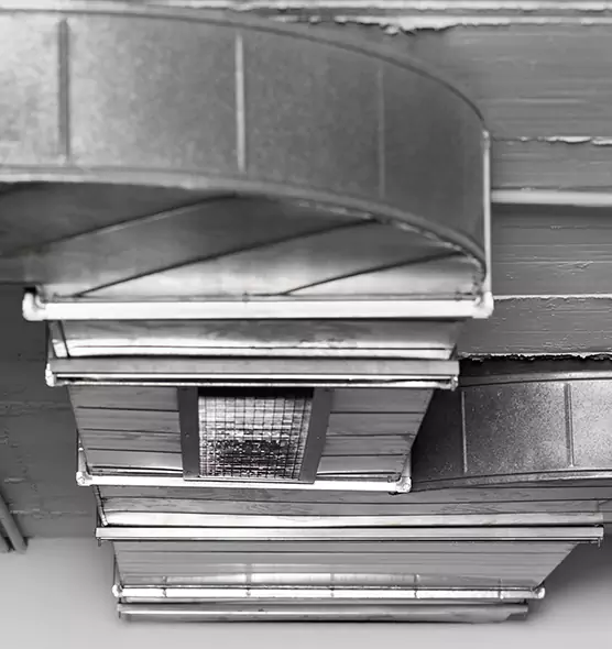 Professional Air Duct Pest Removal in Sand Springs, OK