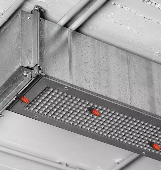 Affordable Insect Removal from Air Ducts in Sand Springs, OK