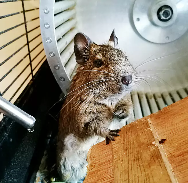 Why Homeowners & Businesses Trust Us Sand Springs, OK